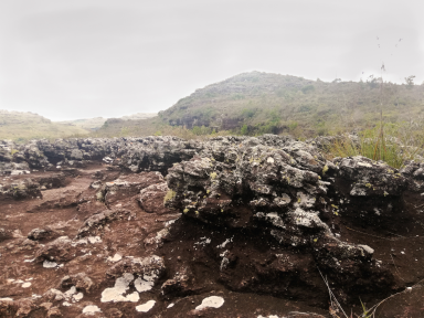 Another Brazilian landscape in Tibagi